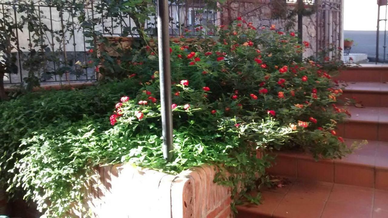 Apartamento Casa Dell'oleandro